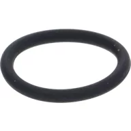OR 2031 EPDM-BEN