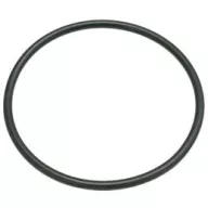 O-RING 0167 EPDM GAGGIA 996530054246