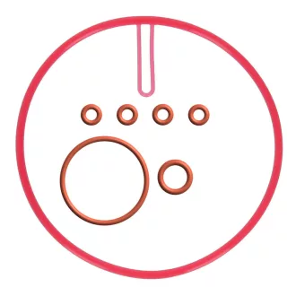 Saeco Kazán tömítés készlet (Royal, Magic, Incanto)