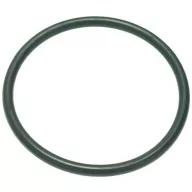 O-Ring 0152 EPDM