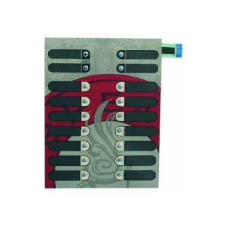 NYOMÓGOMBOS PANEL MEMBRÁN