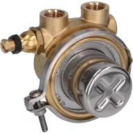 ROTARY VANE PUMP ROTOFLOW ø 3/8' GAS
