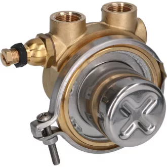 ROTARY VANE PUMP ROTOFLOW ø 3/8' GAS
