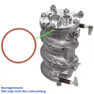 B-20000