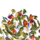 Althaus Classic Herbs gyógynövénytea - Grand Pack, 15 × 3,5 g