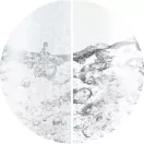 Sage SCC102 Vízkőoldó por - 12 db × 25 g - Sage kávégépekhez és vízforralókhoz