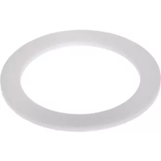FLACHDICHTUNG PTFE ø 56x42x2 mm