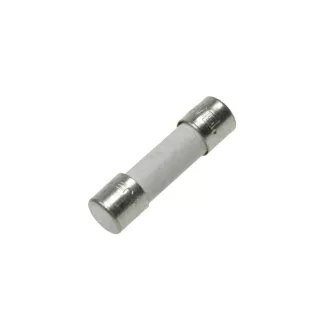 Biztosíték 10A/250V