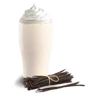 Fonte Vanília Frappé por - 2 kg, vegán