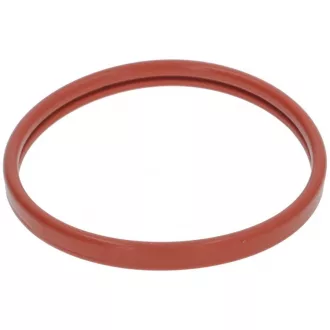 Saeco Szűrőtartó tömítés (66x36x16 mm)