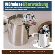 Thermometer World tejhabosító kancsó 600 ml, hőmérővel