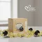 Italian Coffee Vanilciok - Fehércsokoládé és vanília, 16 db - Dolce Gusto kapszula