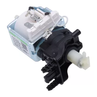B-MS209003.jpg