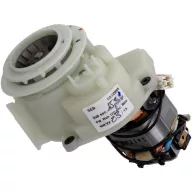 B-MS2A01648